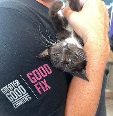 072022_Upside Down Kitty with Good Fix tshirt_©GGC_Good Fix Vieques -1