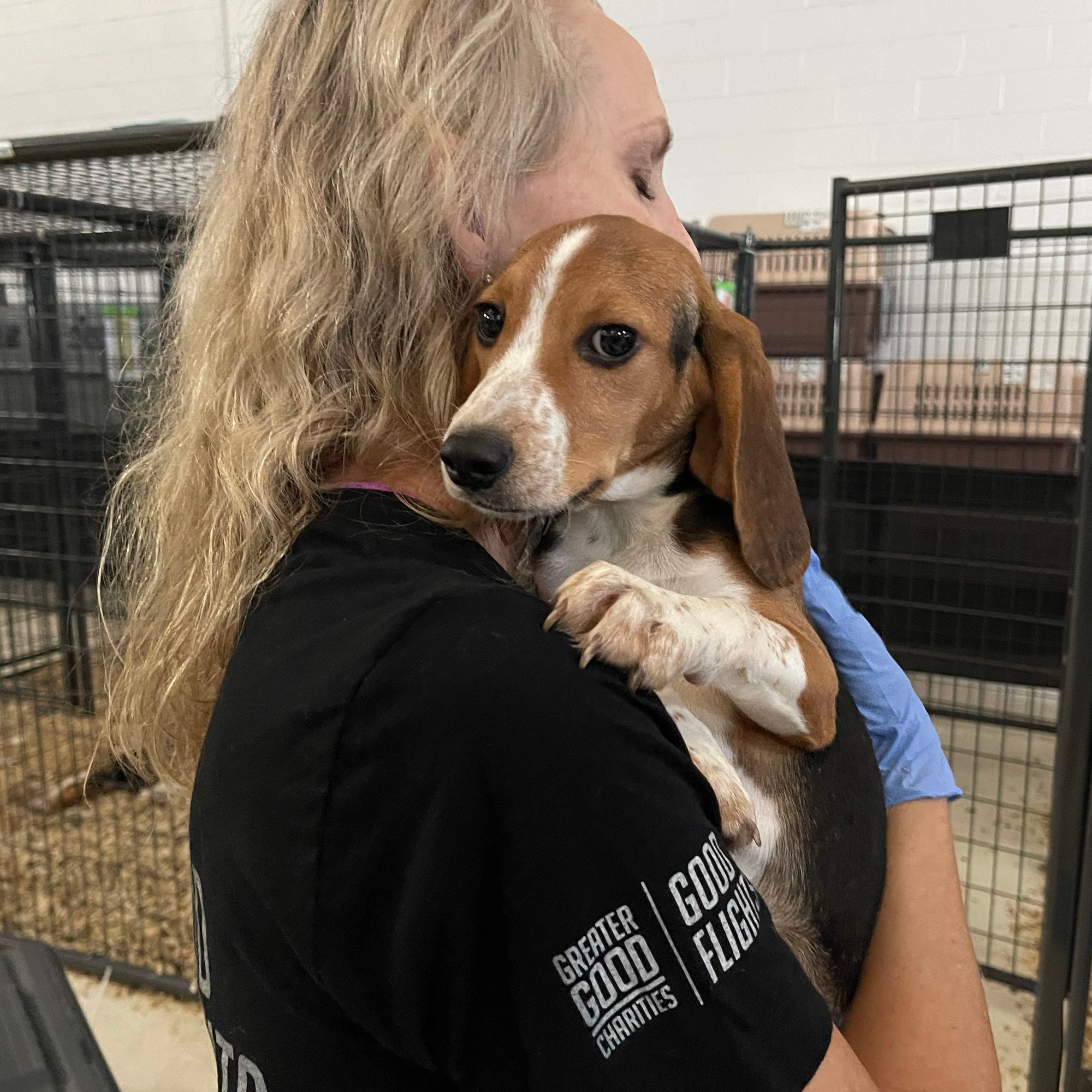 082022_Erin Holding Beagle_©GGC_Good Flights August 20f730f31099de5cf1dfcdaed57468521b547a4e292f3ce1743e4232f0c5c6ede7