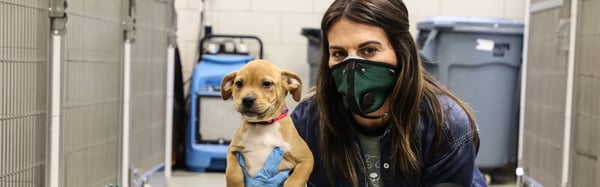 Announcing Good Home, Our New Program to Help Homeless Pets Announcing Good Home, Our New Program to Help Homeless Pets