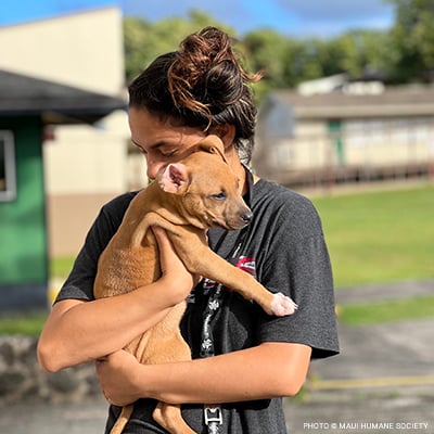 20220609_Woman_Holding_Brown_Puppy_©Maui_Humane_Society_Maui_Good_Fix copy