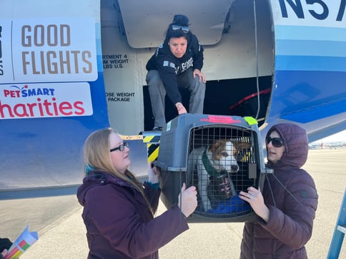 20230327_Unloading_ID_People_Lifting_Crate_w_Dog_off_Plane_©Lake_Lowell_Animal_Rescue_Good_Flights