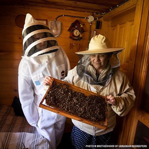 20230512_GGC_bees_0162_©_Brotherhood_of_Ukrainian_Beekeepers_Ukraine_Relief copy-1
