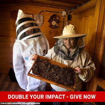 20230512_GGC_bees_0162_©_Brotherhood_of_Ukrainian_Beekeepers_Ukraine_Relief copy-2