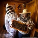 20230512_GGC_bees_0162_©_Brotherhood_of_Ukrainian_Beekeepers_Ukraine_Relief copy