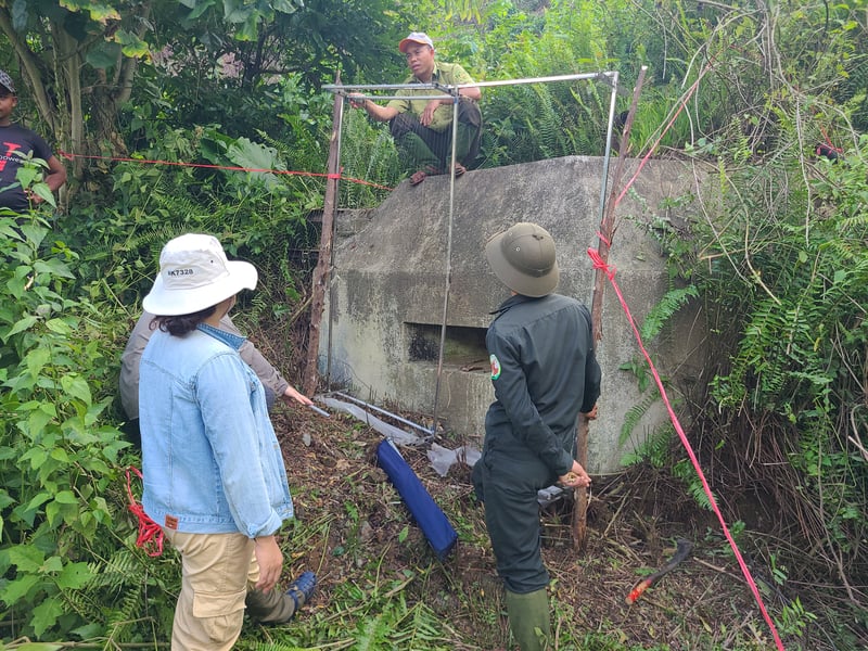 20230622_Vietnam_Bat_Harp_Trap_1_©_GGC_GDE