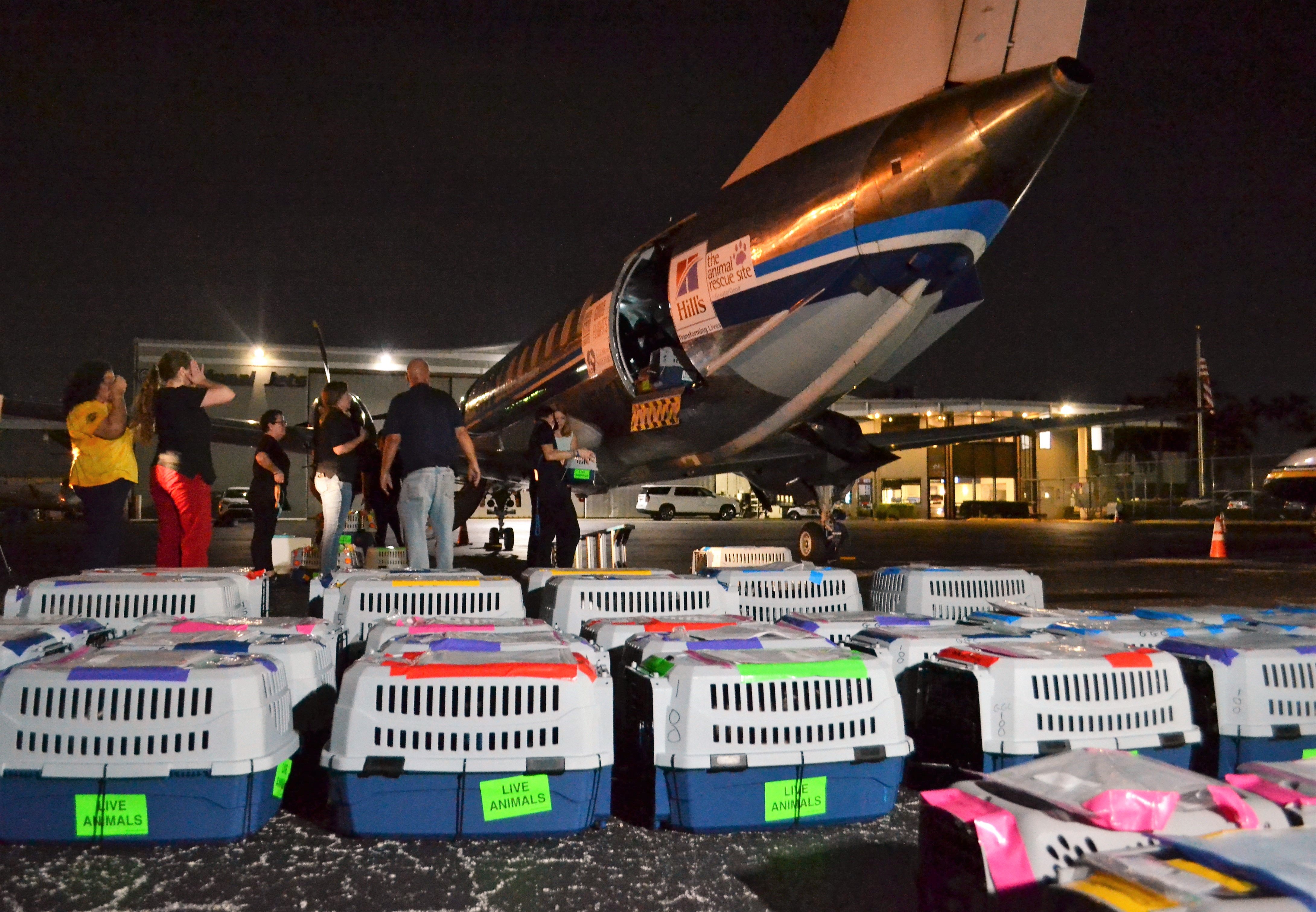 20230802_CTS_Loading_FL_line_of_crates_on_tarmac_by_plane_2_©_Humane_Society_of_Broward_County_Good_Flights