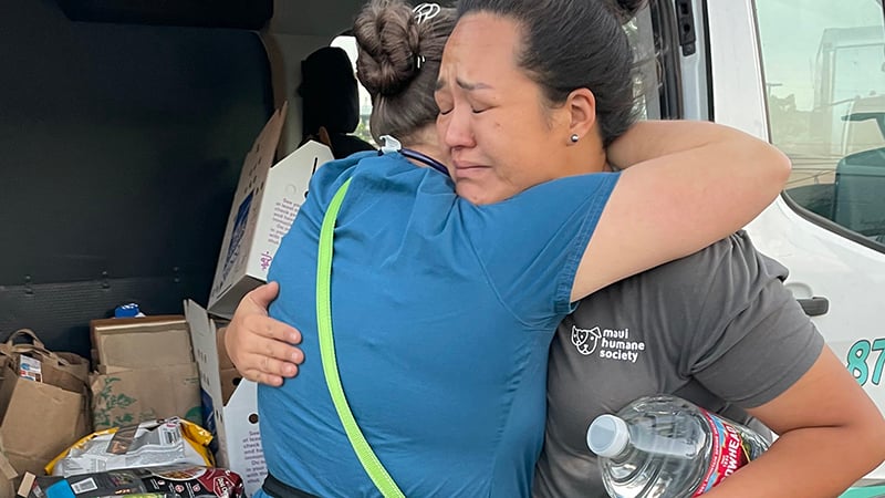 20230810_Maui_Wildfire_people_hugging_emotional_by_supplies_in_van_©_Maui_Humane_Society_Disaster_Relief (1) copy-blog