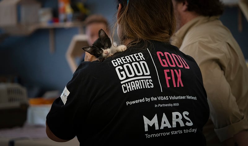 20230812_Ukraine_GGC_team_member_holding_kitten_w_logo_shirt_sponsored_by_Mars_©_Oro_Whitley_Good_Fix copy