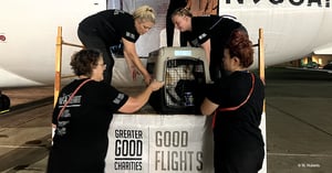 20240916_GoodFlights_HurricaneFrancein_Featured-1