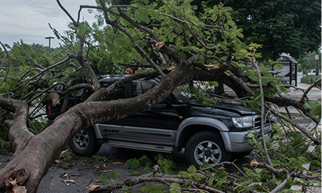 20251028_AdobeStock_391069277_Adobe_634x380