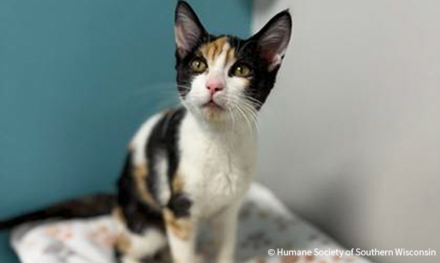 20260106_BI-Cares_HumaneSocietyOfSouthernWisconsin_001