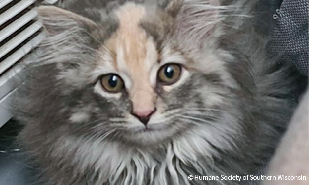 20260106_BI-Cares_HumaneSocietyOfSouthernWisconsin_002