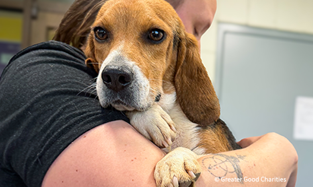 20260113_GFL_FeaturedPet_Lady_GGC_001