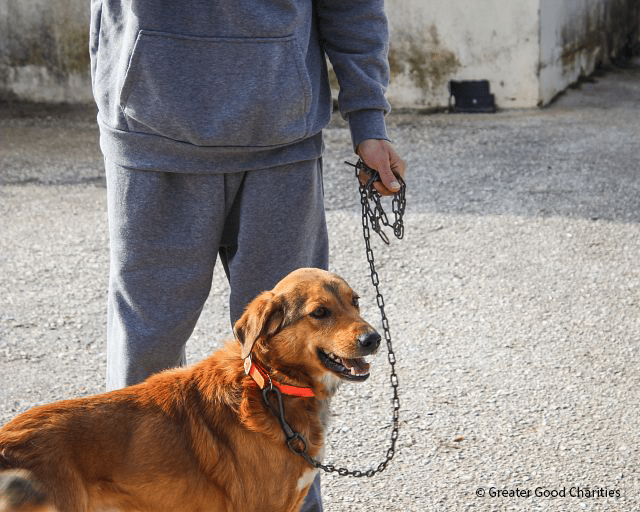 20260119_Greece_KylliniCamp_Samon_GGC_005