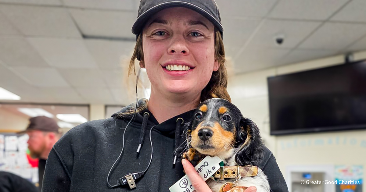 20260210_Alaska Spay and Neuter Blog20250601_FIX_Alaska_R5_001_GGC_1200x630