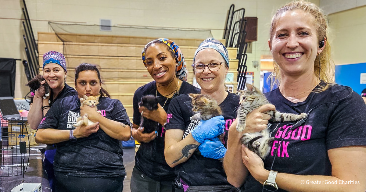 20260210_Alaska Spay and Neuter Blog_FIX_Alaska_R5_001_GGC_1200x630