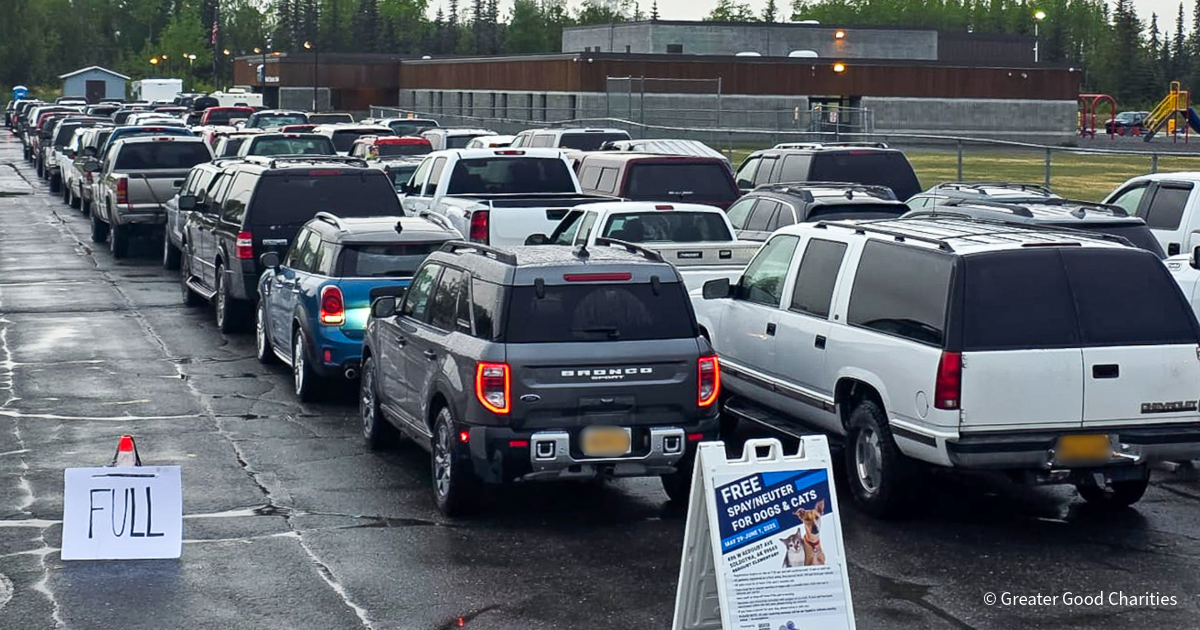 20260210_Alaska Spay and Neuter Blog__FIX_Alaska_R5_007_GGC_1200x630