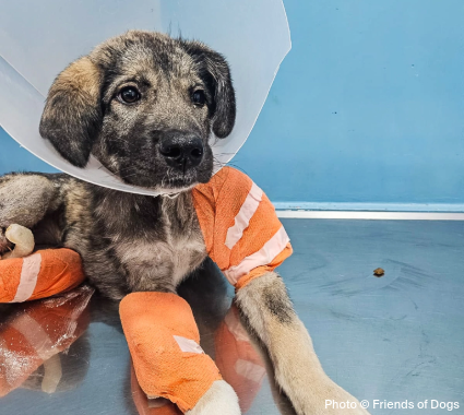 EAM-LandingPage-Iskra-Creed-2 EAM-LandingPage-Iskra-Creed-2