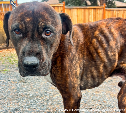 EAM-LandingPage-Iskra-Creed-3 EAM-LandingPage-Iskra-Creed-3