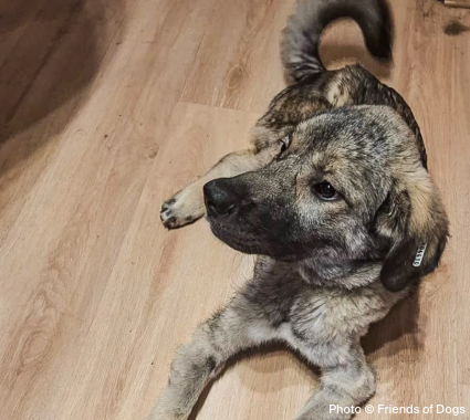 EAM-LandingPage-Iskra-Creed-4 EAM-LandingPage-Iskra-Creed-4