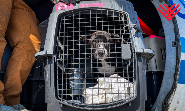 EOY-GT-Pet-Flight-7--20250219_GFL_IA-ID-OR_Arrival_Portland_001-634x38