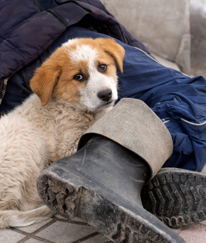 EOY-GT-Unhoused-Emerg-Packs-5-AdobeStock_335104583-720x850