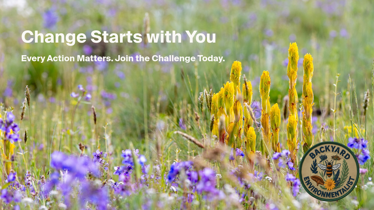 Earth Month FY26-7-About Media (1)