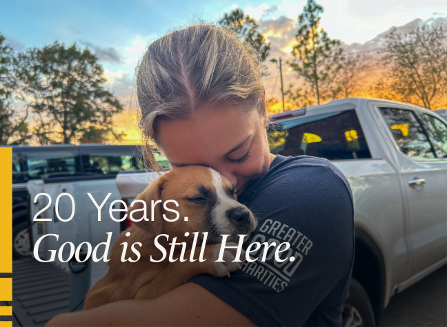 GGC_20thAnniversary_Templates-26-Email Header-pet