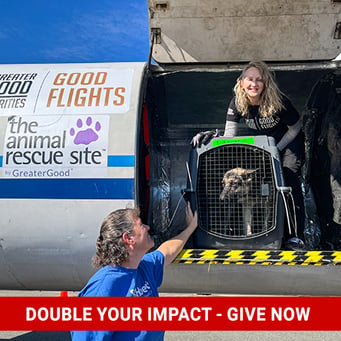 Give-Good-Transport-Pets-to-Shelters-04-double-impact