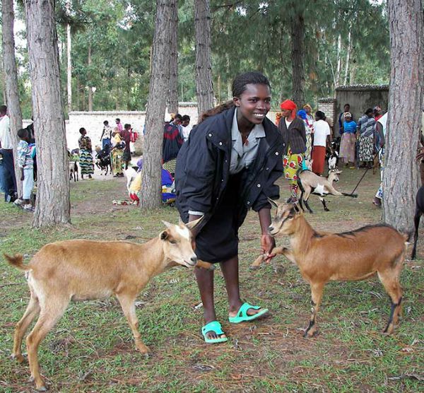 Provide goats to families in Rwanda via www.GreaterGood.com