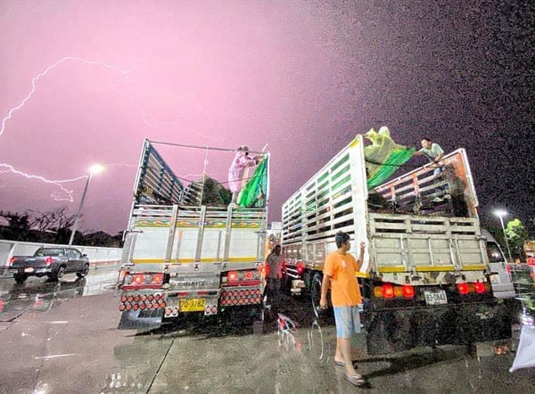 This elephant rescue wasn't easy, with inclement weather