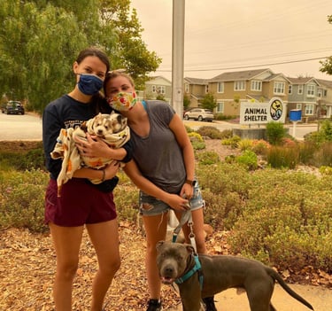 Happy pets and people at Santa Cruz County Animal Shelter!