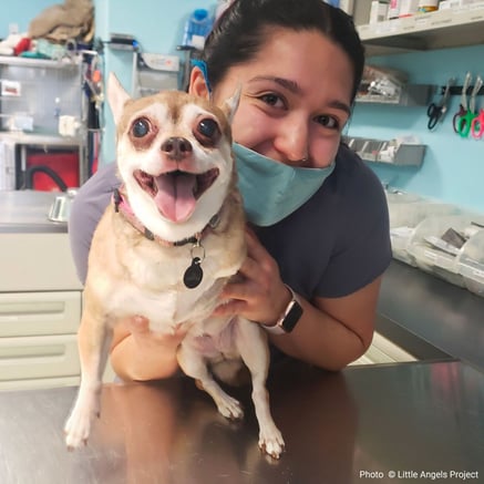 alt="keeping pets with families smiling pet"