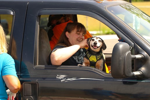 kansas city pet project drive thru pet clinic coronavirus response