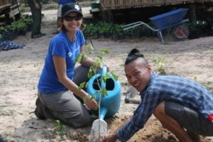 dino planting