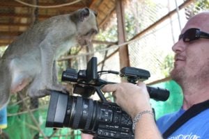 Capuchin with camera man