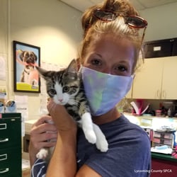 kitten and shelter employee in a mask