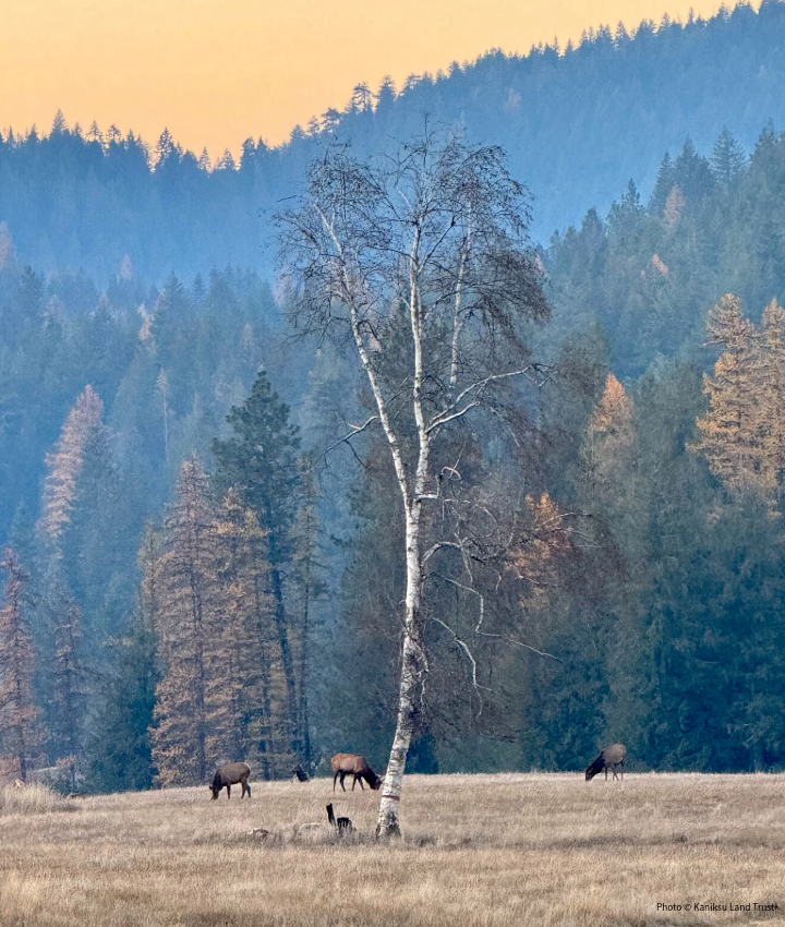 LandTrust-LandingPage-012726-1-720x850