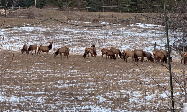 LandTrust-LandingPage-012726-2-634x380