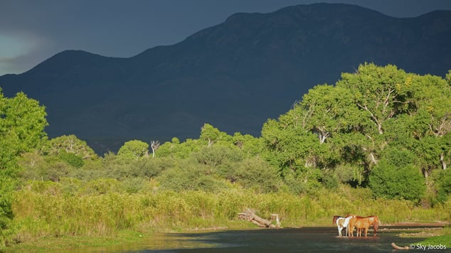LandTrustsMatter-03-CopySection