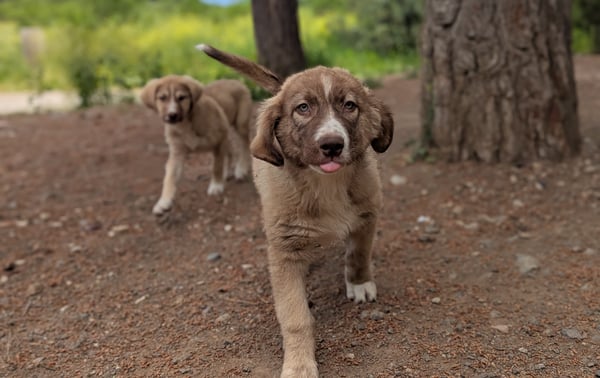 PXL_20250505_091752325-PORTRAIT