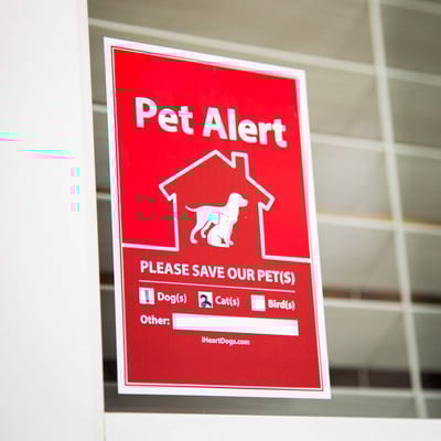 Pet-Alert-main[1]