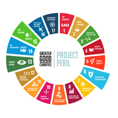 SDG_Project Peril