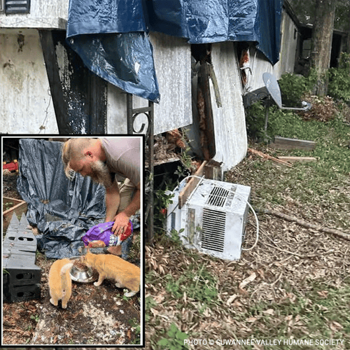 Image shows Brandon Detty helping a Suwannee County resident feed her cats after Hurricane Idalia split her mobile home. In the image, Brandon is bending down to pour food into a silver bowl for two orange tabby cats, while behind him there are pieces of a mobile home scattered around, covered by a tarp, with an air conditioner window unit lying broken on the ground.