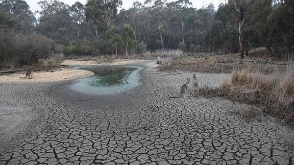 TidbinbillaDrought-Taronga