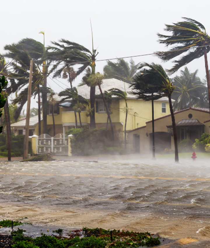 VS-Photograph_20210827_AdobeStock_171085827_©Adobe-1