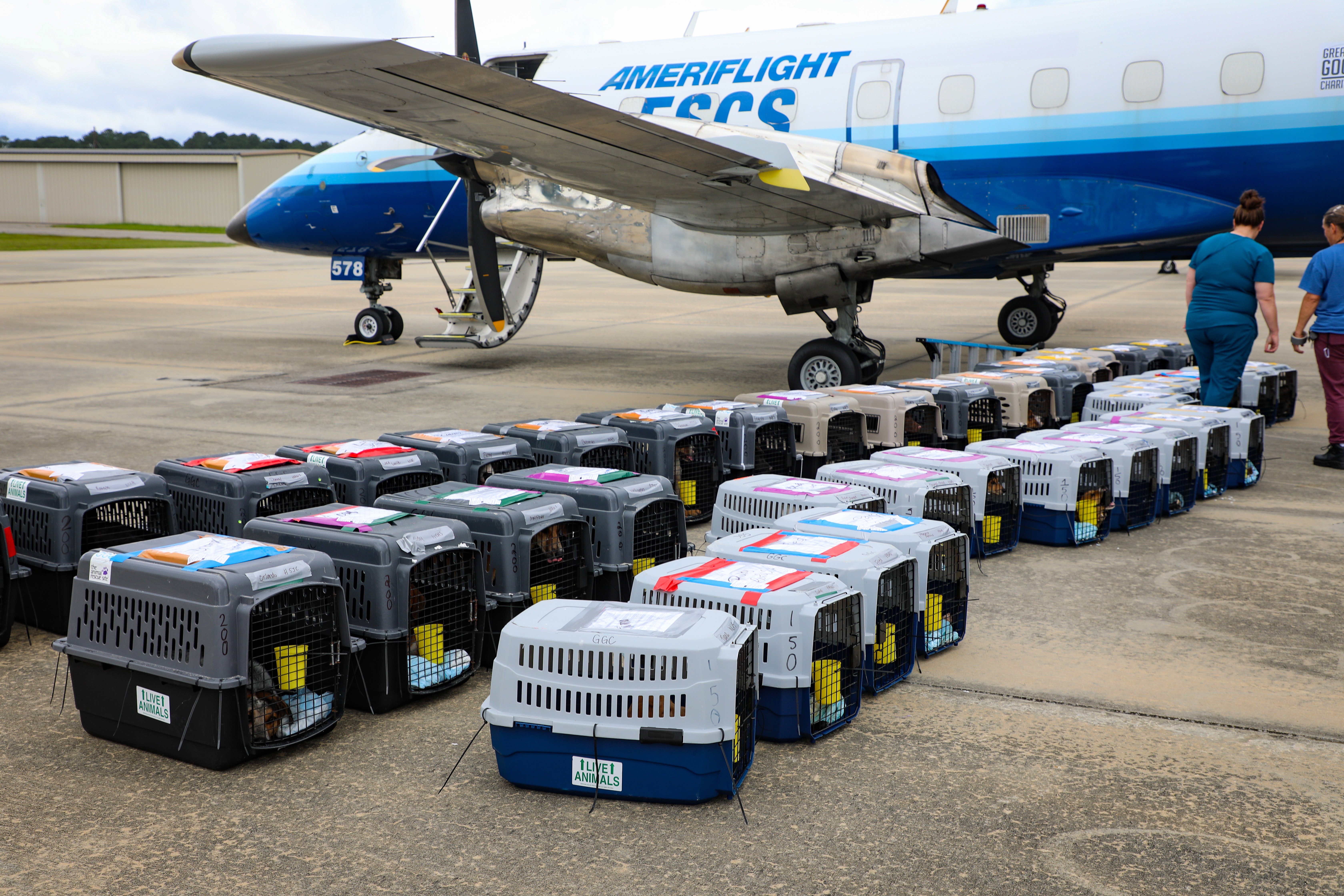 VS-Photograph_202401002_GFL_SC-WI_Departure_029_©LuckyDogAnimalRescue