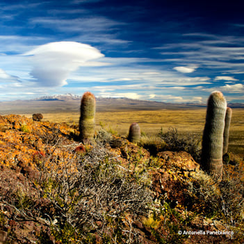 VS-Photograph_20240401_GDE_ArgentinaLandPurchase_017_©AntonellaPanebianco
