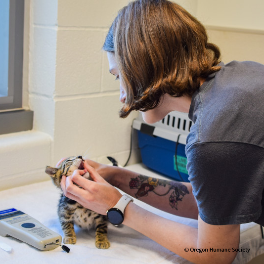 VS-Photograph_20240613_GFL-FTF_CA-OR_Unloading_026_©OregonHumaneSociety