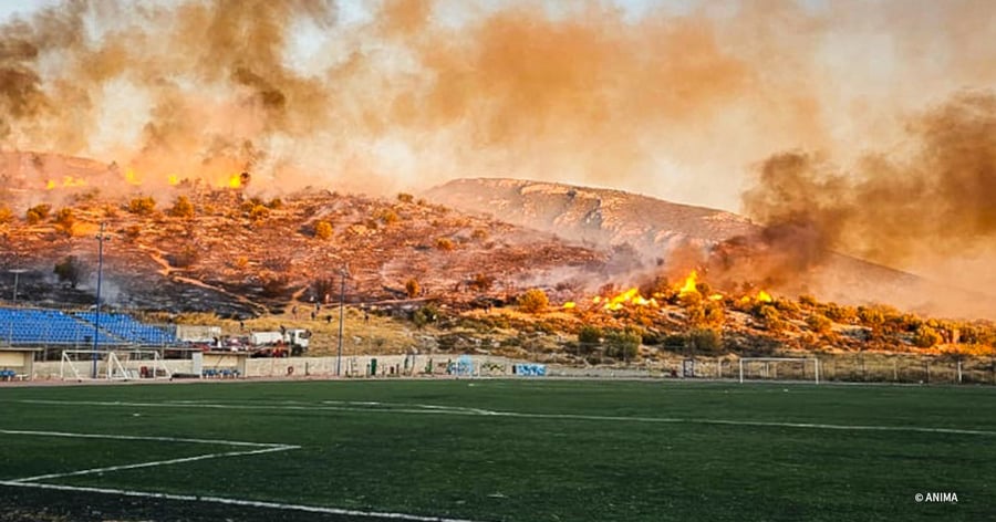 VS-Photograph_20240811_DRI_Greece_Athens_001_©ANIMA